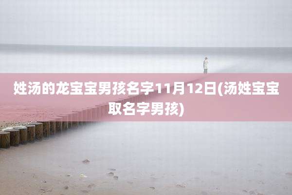 姓汤的龙宝宝男孩名字11月12日(汤姓宝宝取名字男孩)