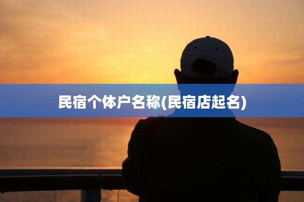 民宿个体户名称(民宿店起名)