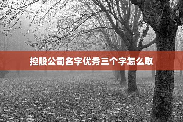 控股公司名字优秀三个字怎么取