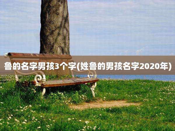 鲁的名字男孩3个字(姓鲁的男孩名字2020年)