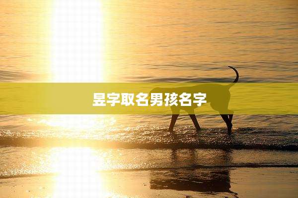 昱字取名男孩名字