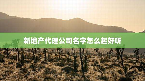 新地产代理公司名字怎么起好听