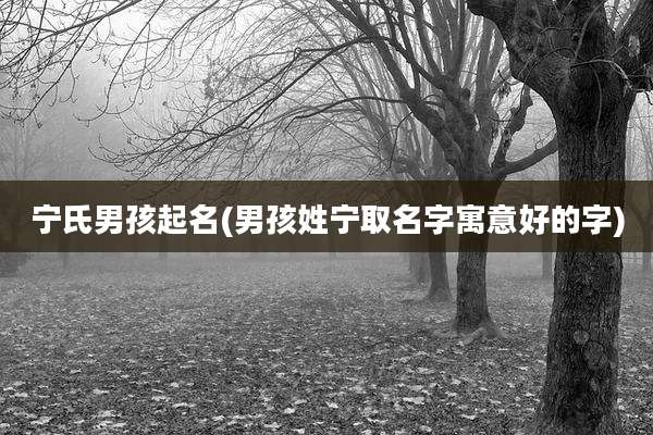 宁氏男孩起名(男孩姓宁取名字寓意好的字)