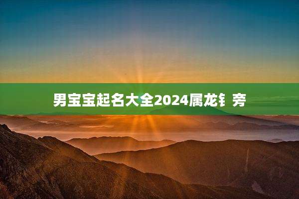 男宝宝起名大全2024属龙钅旁