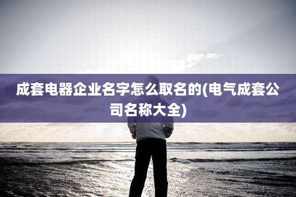 成套电器企业名字怎么取名的(电气成套公司名称大全)