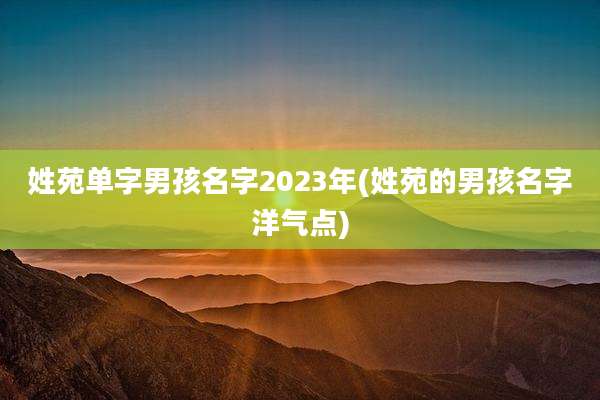 姓苑单字男孩名字2023年(姓苑的男孩名字洋气点)