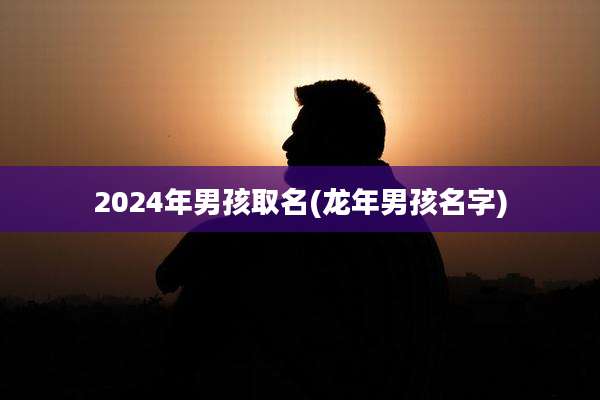 2024年男孩取名(龙年男孩名字)