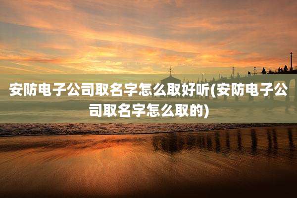 安防电子公司取名字怎么取好听(安防电子公司取名字怎么取的)