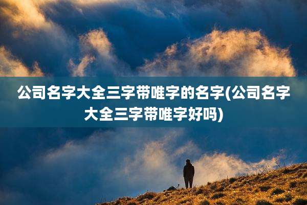 公司名字大全三字带唯字的名字(公司名字大全三字带唯字好吗)