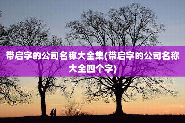带启字的公司名称大全集(带启字的公司名称大全四个字)