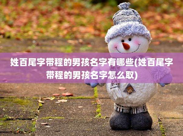 姓百尾字带程的男孩名字有哪些(姓百尾字带程的男孩名字怎么取)