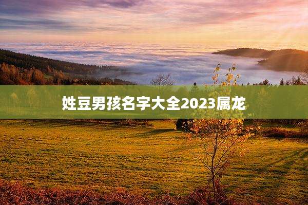 姓豆男孩名字大全2023属龙