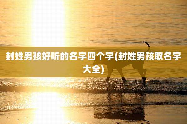 封姓男孩好听的名字四个字(封姓男孩取名字大全)