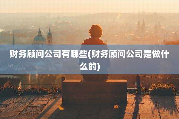 财务顾问公司有哪些(财务顾问公司是做什么的)