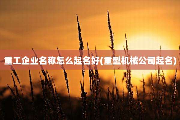 重工企业名称怎么起名好(重型机械公司起名)
