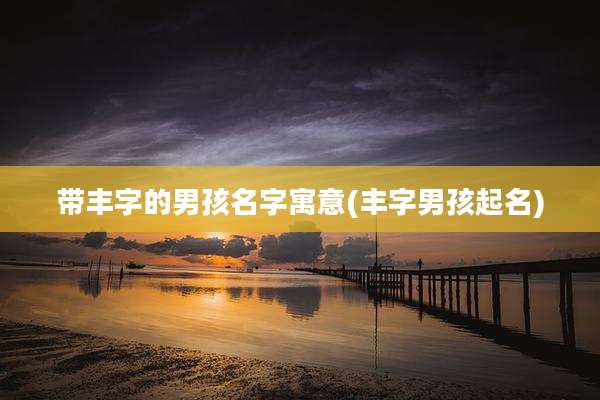 带丰字的男孩名字寓意(丰字男孩起名)