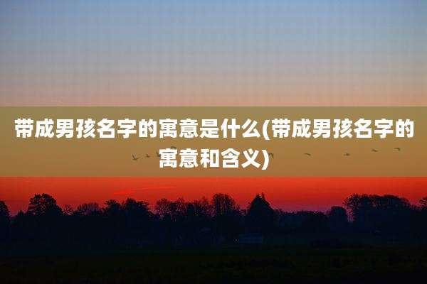 带成男孩名字的寓意是什么(带成男孩名字的寓意和含义)