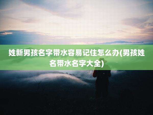 姓新男孩名字带水容易记住怎么办(男孩姓名带水名字大全)
