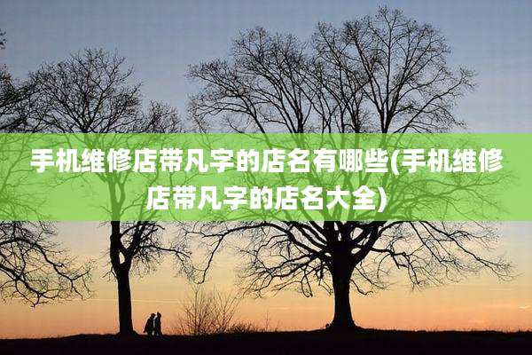手机维修店带凡字的店名有哪些(手机维修店带凡字的店名大全)