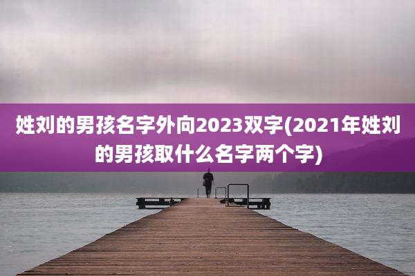 姓刘的男孩名字外向2023双字(2021年姓刘的男孩取什么名字两个字)