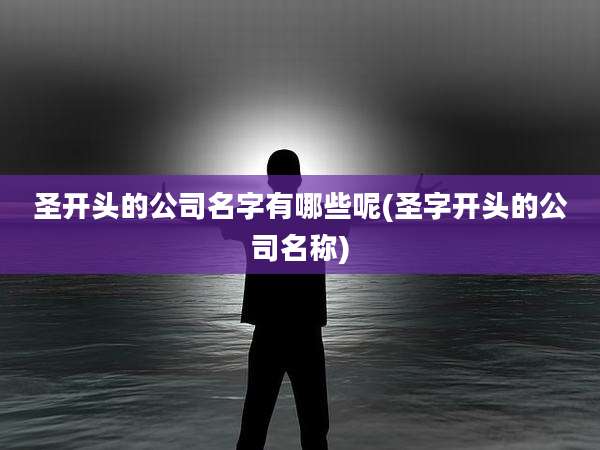 圣开头的公司名字有哪些呢(圣字开头的公司名称)