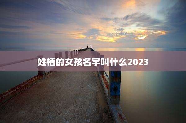 姓植的女孩名字叫什么2023