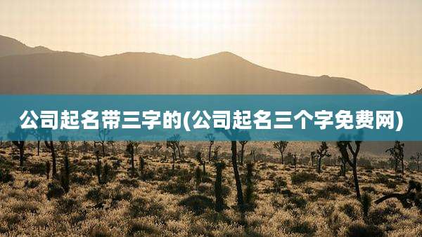 公司起名带三字的(公司起名三个字免费网)