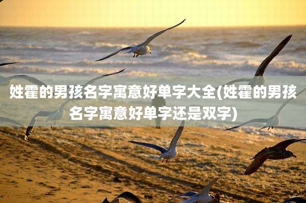 姓霍的男孩名字寓意好单字大全(姓霍的男孩名字寓意好单字还是双字)