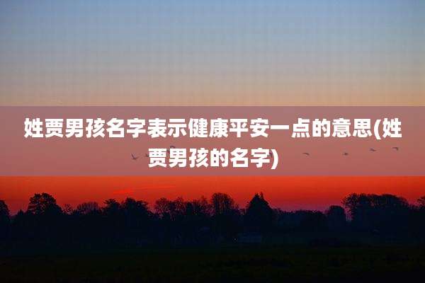 姓贾男孩名字表示健康平安一点的意思(姓贾男孩的名字)