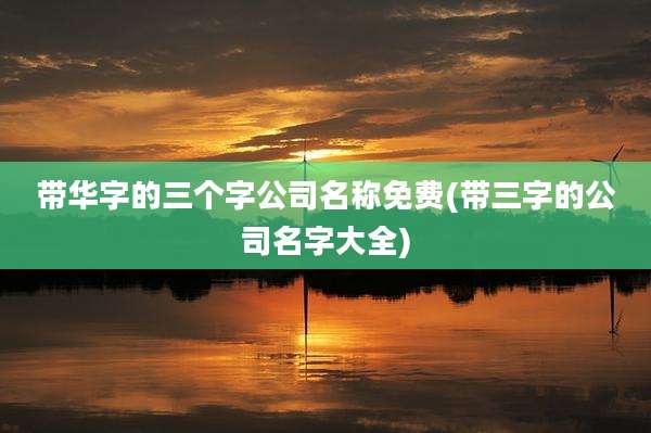 带华字的三个字公司名称免费(带三字的公司名字大全)