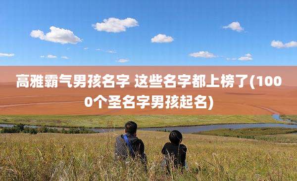 高雅霸气男孩名字 这些名字都上榜了(1000个圣名字男孩起名)