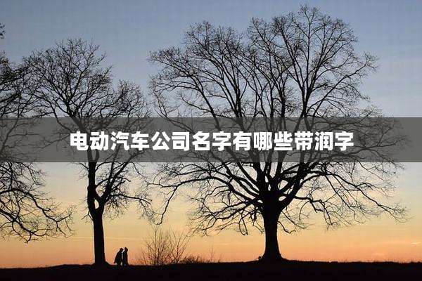 电动汽车公司名字有哪些带润字