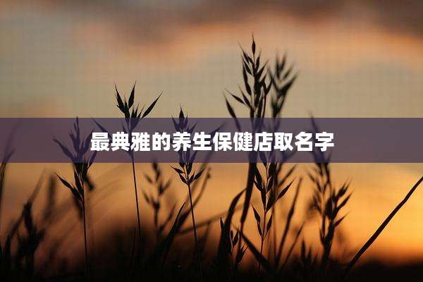 最典雅的养生保健店取名字