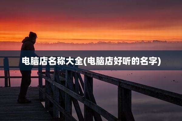 电脑店名称大全(电脑店好听的名字)