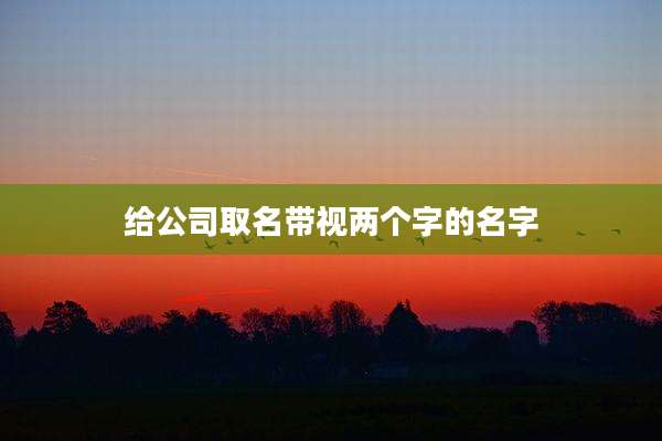 给公司取名带视两个字的名字