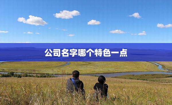 公司名字哪个特色一点