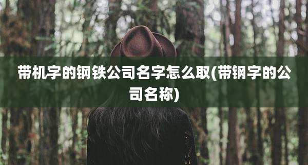 带机字的钢铁公司名字怎么取(带钢字的公司名称)