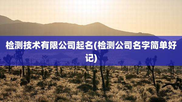 检测技术有限公司起名(检测公司名字简单好记)