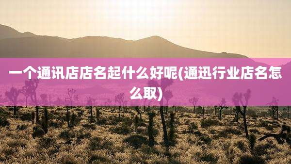 一个通讯店店名起什么好呢(通迅行业店名怎么取)