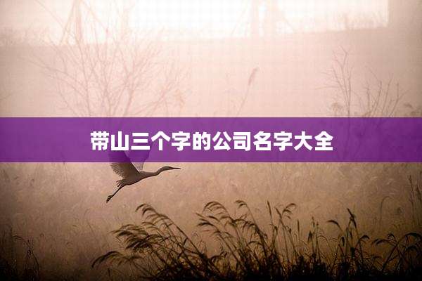 带山三个字的公司名字大全