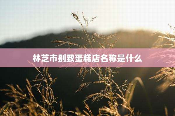 林芝市别致蛋糕店名称是什么