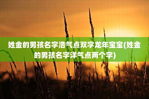 姓金的男孩名字浩气点双字龙年宝宝(姓金的男孩名字洋气点两个字)