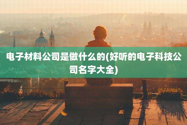 电子材料公司是做什么的(好听的电子科技公司名字大全)