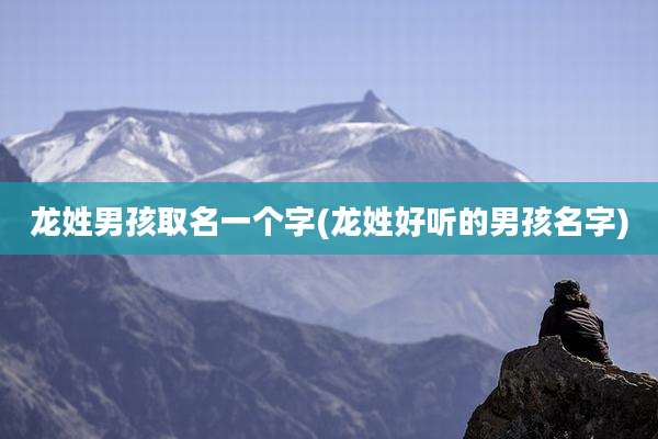 龙姓男孩取名一个字(龙姓好听的男孩名字)