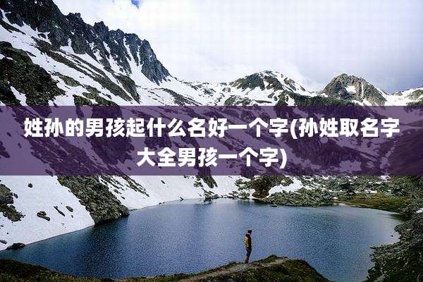 姓孙的男孩起什么名好一个字(孙姓取名字大全男孩一个字)