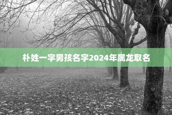 朴姓一字男孩名字2024年属龙取名