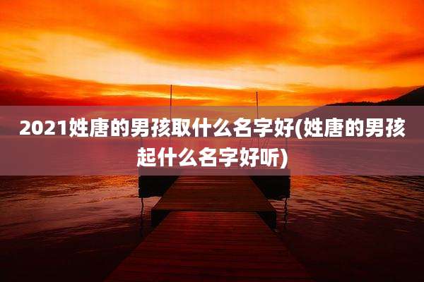 2021姓唐的男孩取什么名字好(姓唐的男孩起什么名字好听)
