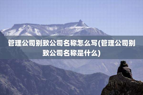 管理公司别致公司名称怎么写(管理公司别致公司名称是什么)