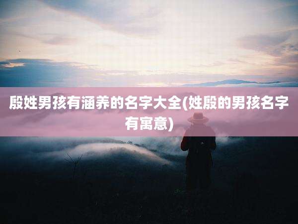 殷姓男孩有涵养的名字大全(姓殷的男孩名字有寓意)