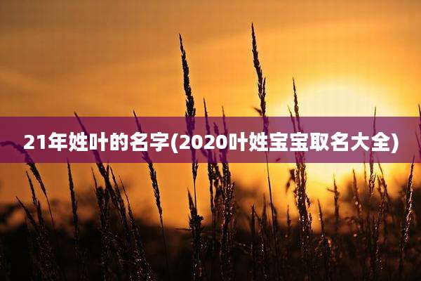 21年姓叶的名字(2020叶姓宝宝取名大全)